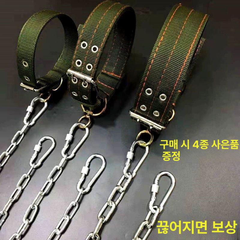 대형견 개줄 마당 시골개 철사 철제 맹견 리드줄 진돗개 철제 체인 2.5mm 15kg이하 길이 3m - 상세 이미지 2