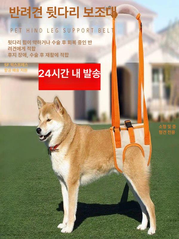후지마비 강아지슬개골보호대 고양이 뒷다리 수술 보조 오렌지-1세대 리어다리 S 3.5kg 이하 - 상세 이미지 4