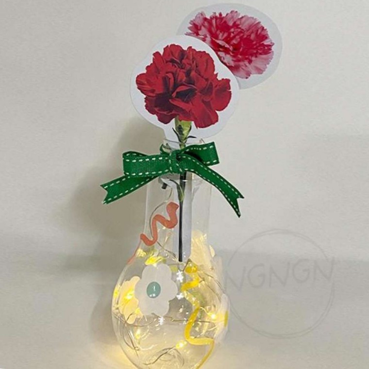 지니몰 카네이션 종이무드등 DIY 4인세트 DIY무드등 카네이션만들기 어버이날꽃 무드등키트 어린이만들기키트 - 상품 이미지