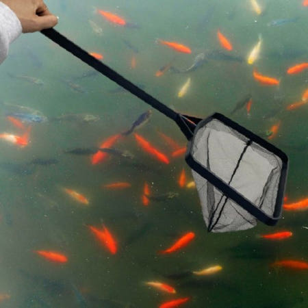 사각 그물망 어항 청소 뜰채 물고기 잡이 도구 수족관 관리 용품 애완동물 물생활