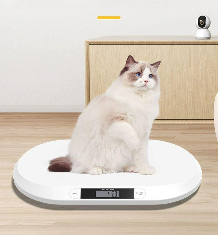 미리케어 강아지 체중계 채중계 몸무게가정용 저울 정확도 20kg 중소형 업그레이드 화이트 B - 상품 이미지