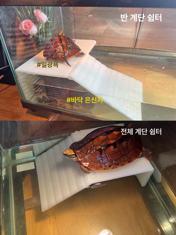 거북이 수조탱크 어항 하우스 육지 대형 직사각형 배수 전면 사다리형 16.5cmx10cmx5cm - 상세 이미지 2