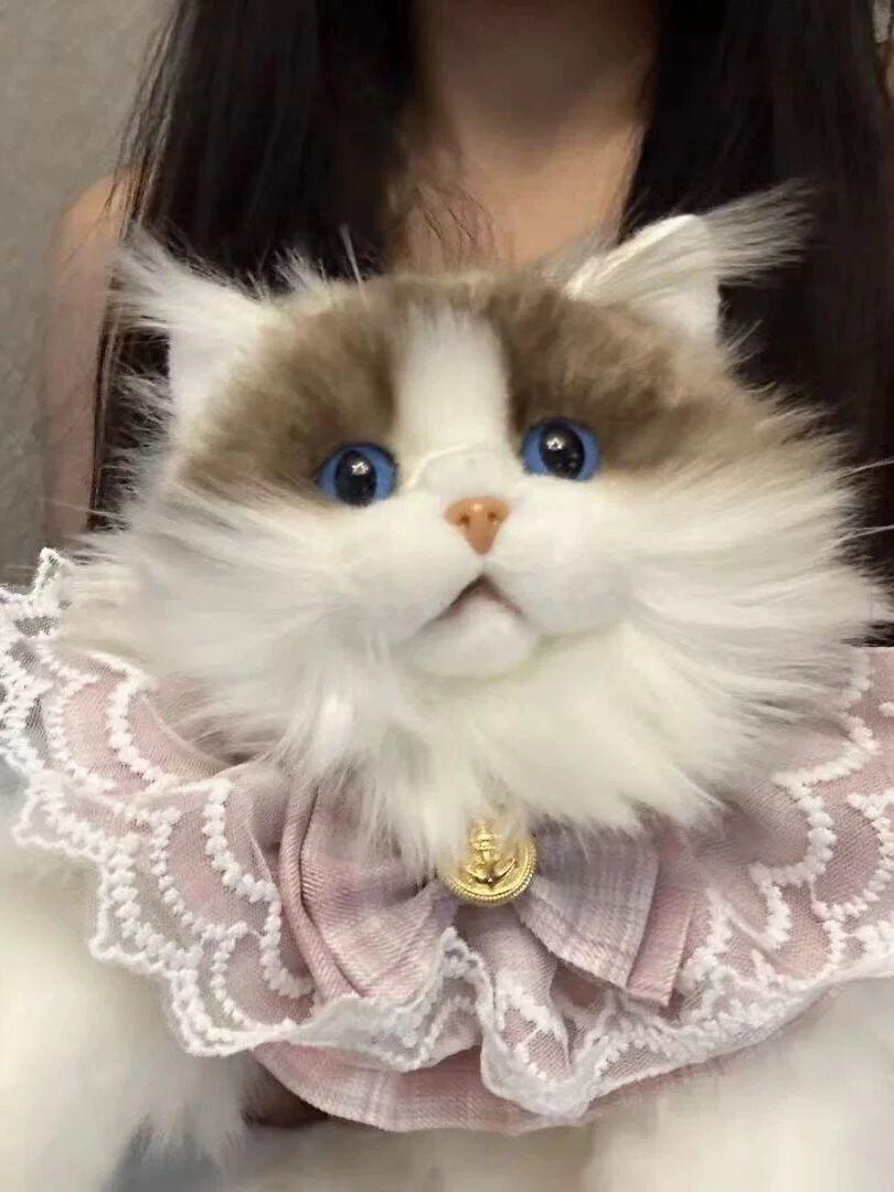 고양이 인형 백팩 배낭 푹신한 가방 봉제 - 상세 이미지 4