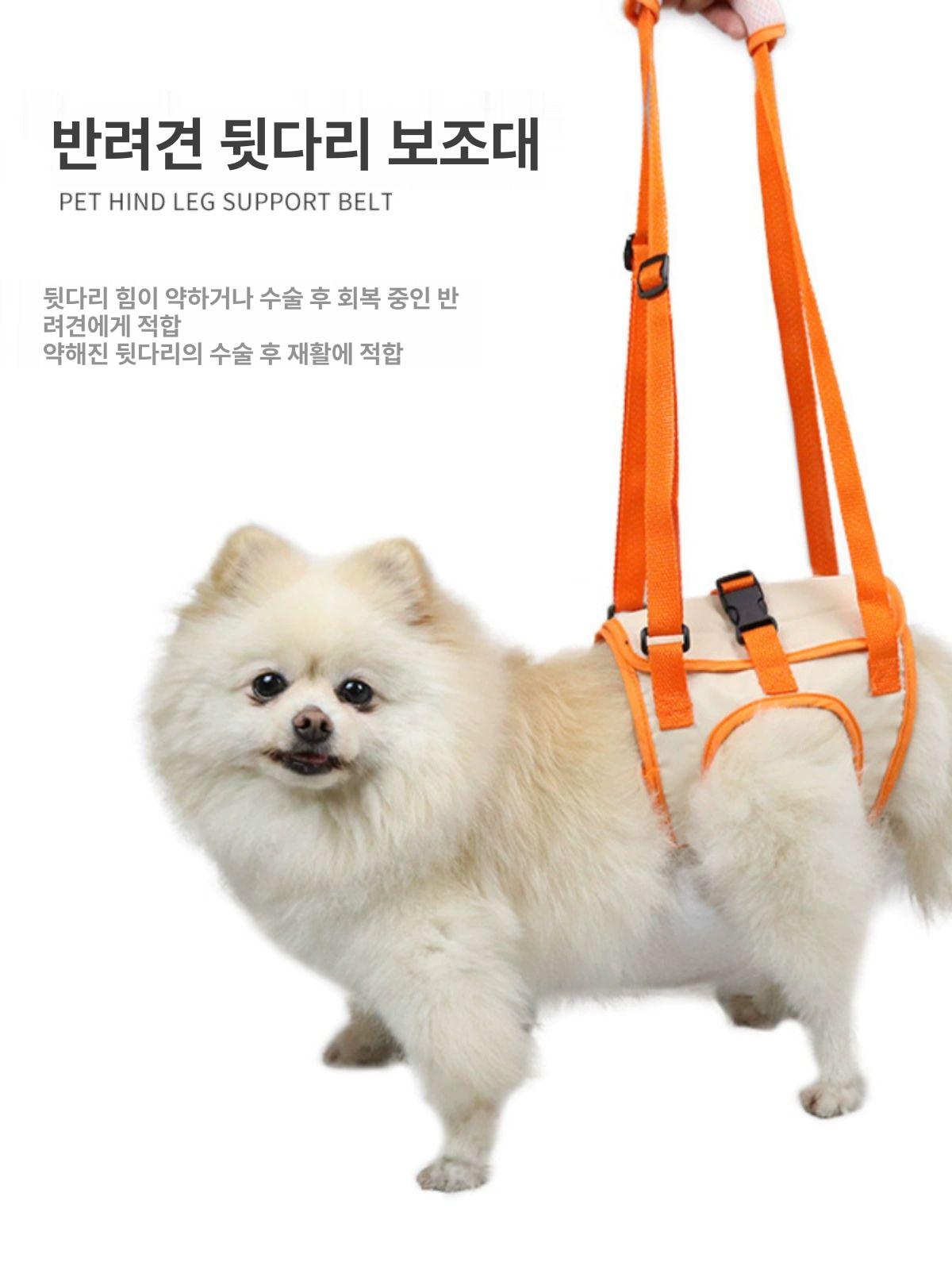 후지마비 강아지슬개골보호대 고양이 뒷다리 수술 보조 오렌지-1세대 리어다리 S 3.5kg 이하 - 상세 이미지 3