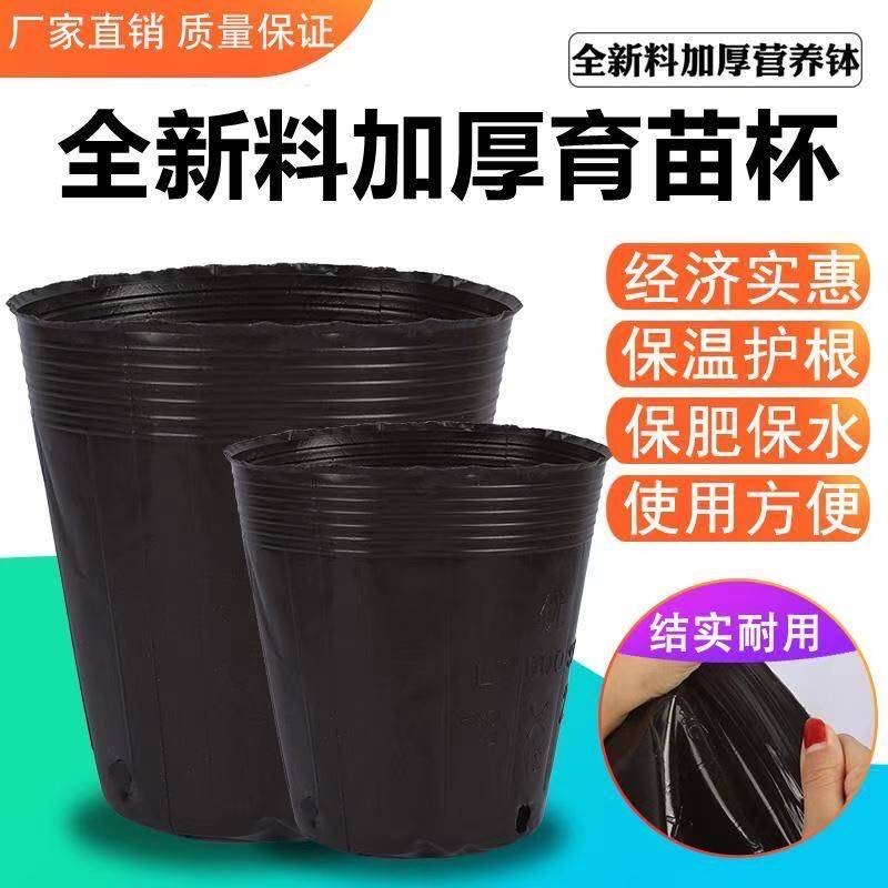 육묘 화분 대용량 비닐 포트 묘목 재배 용기 튼튼한 소재 묘목 전용 육묘용 식물파종상자 - 상세 이미지 2