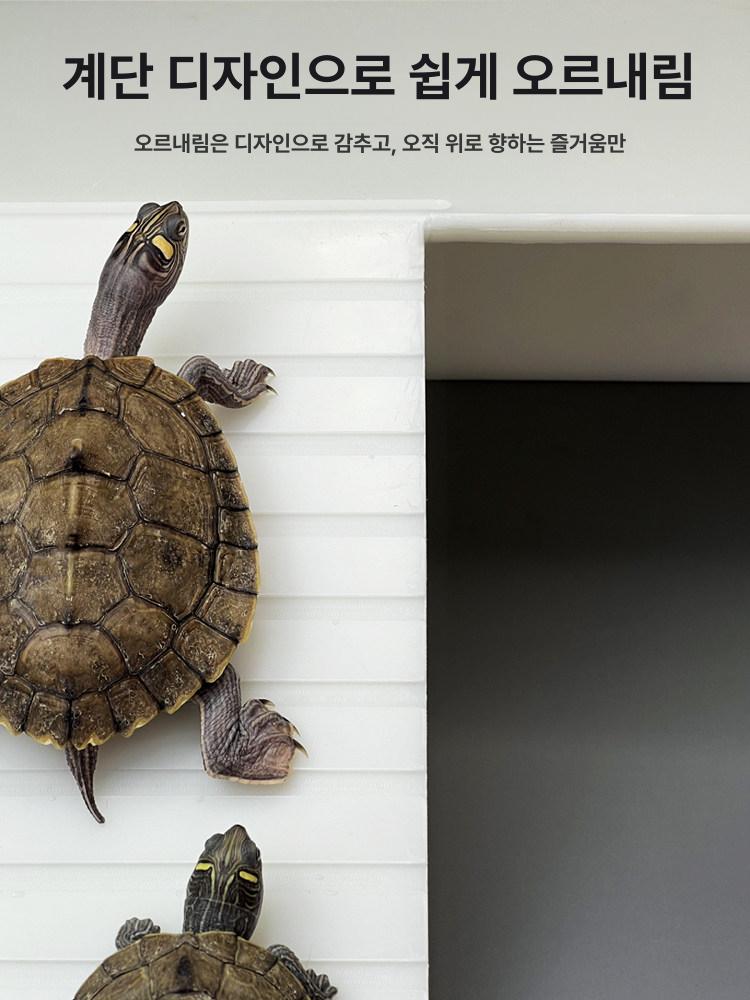 거북이 수조탱크 어항 하우스 육지 대형 직사각형 배수 전면 사다리형 16.5cmx10cmx5cm - 상세 이미지 3