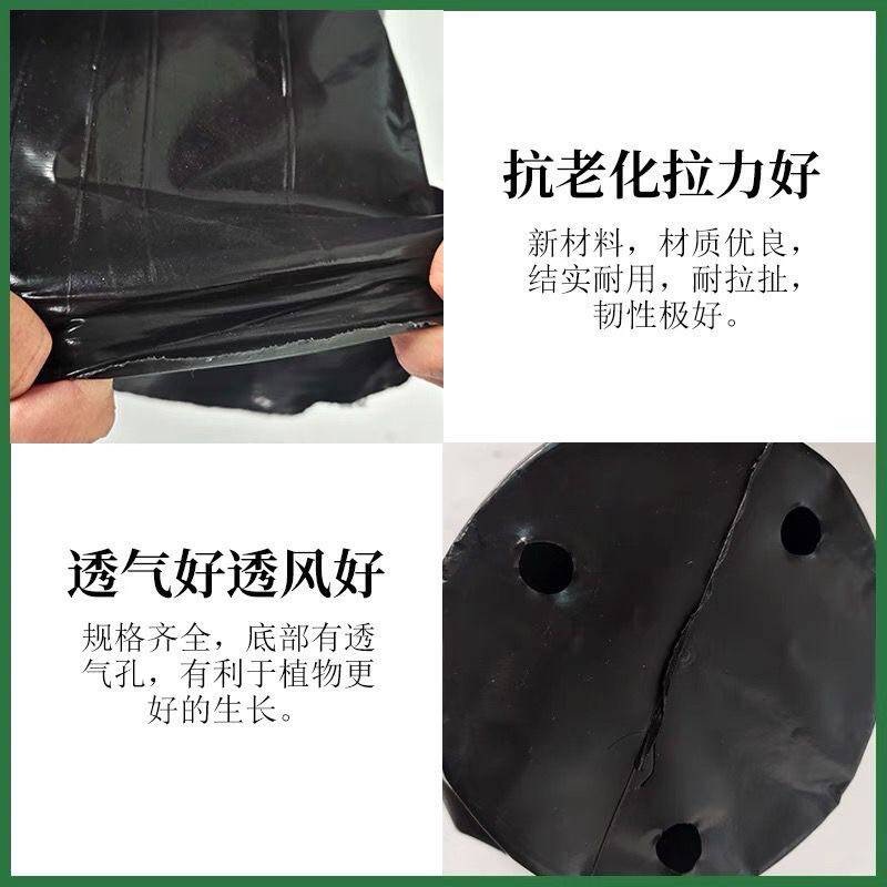 육묘 화분 대용량 비닐 포트 묘목 재배 용기 튼튼한 소재 묘목 전용 육묘용 식물파종상자 - 상세 이미지 5