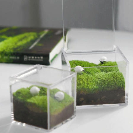 미니 어항케이스 10x10x6 베타 사육 투명 치즈보관 디저트 용기 아크릴