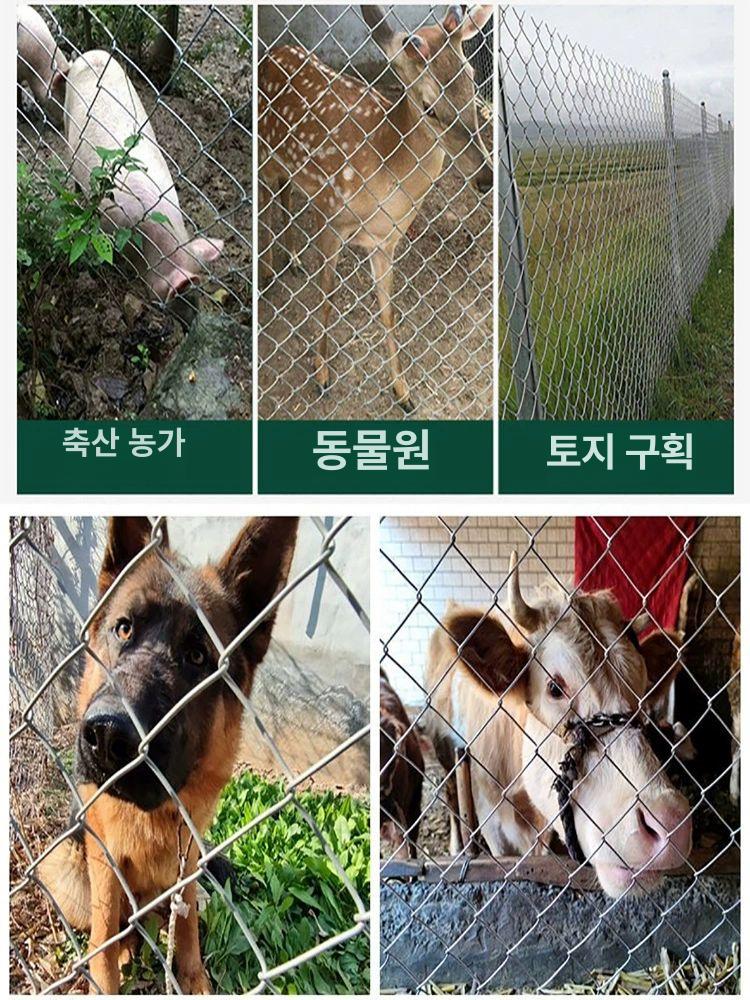 아연철망 철조망 염소망 축사 울타리철망 메쉬망 울타리망 구멍 펜스 능형망 철망 경계망 안전망 아연 - 상세 이미지 2