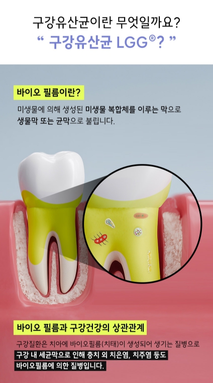 [2개월] 비타르르 오라프로린 구강 유산균 그린프로폴리스 30포, 2개 - 상세 이미지 4