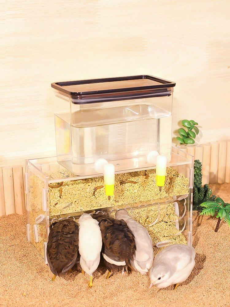 미니 메추리 키우기 가정용 작은새 달걀 육추기 조류 800ml + 대형 - 상품 이미지