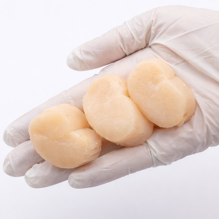 국내산 키조개 손질 통관자 500g - 상세 이미지 3