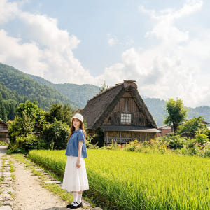 [매일출발/통행료포함] 나고야 히다 다카야마N세계문화유산 시라카와고 1일... 솔직 후기 | 실사용자 리뷰 분석 - 상품 이미지 4