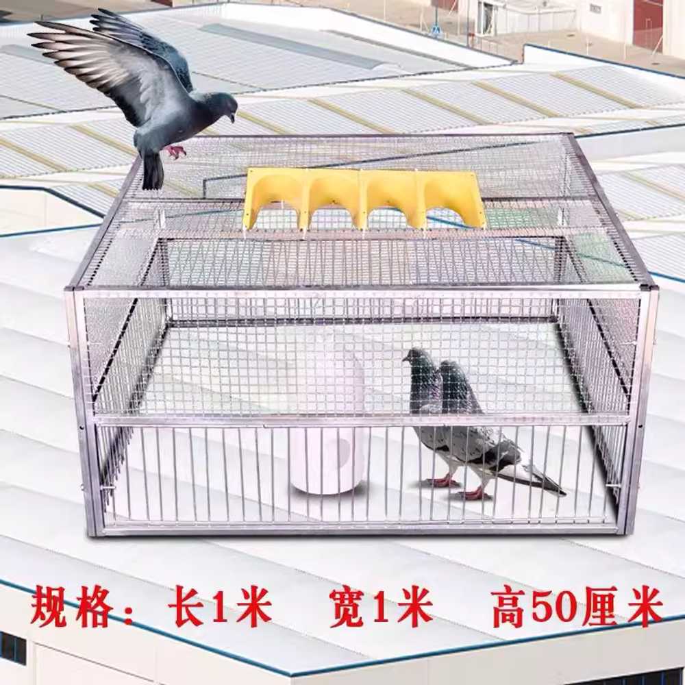 비둘기 포획 철망 덫 포위망 용 구출 조류 안전 케이지 60x60x50 - 상세 이미지 3