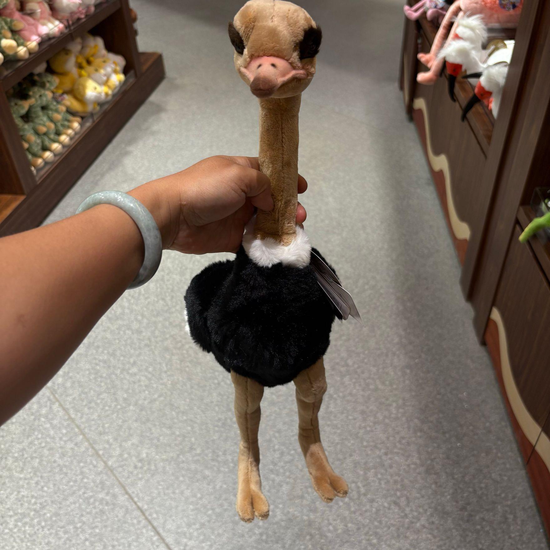 유니크한 새인형 아프리카 선물 타조 귀여운 카멜버드 봉제 인형 약 25cm - 상세 이미지 2