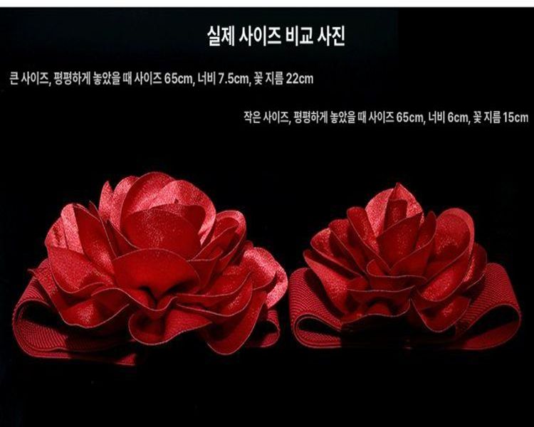 캐주얼 원피스 댄스벨트 공연 라틴 줌바 라인 방송 벨리 레드 소형 평면 65cm 6cm - 상세 이미지 5