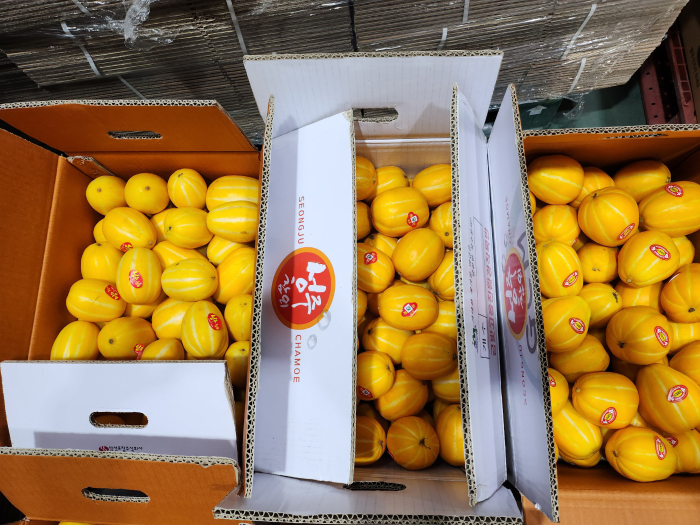 자연가득 가정용 못난이 성주 참외 1kg-5kg 이미지 6