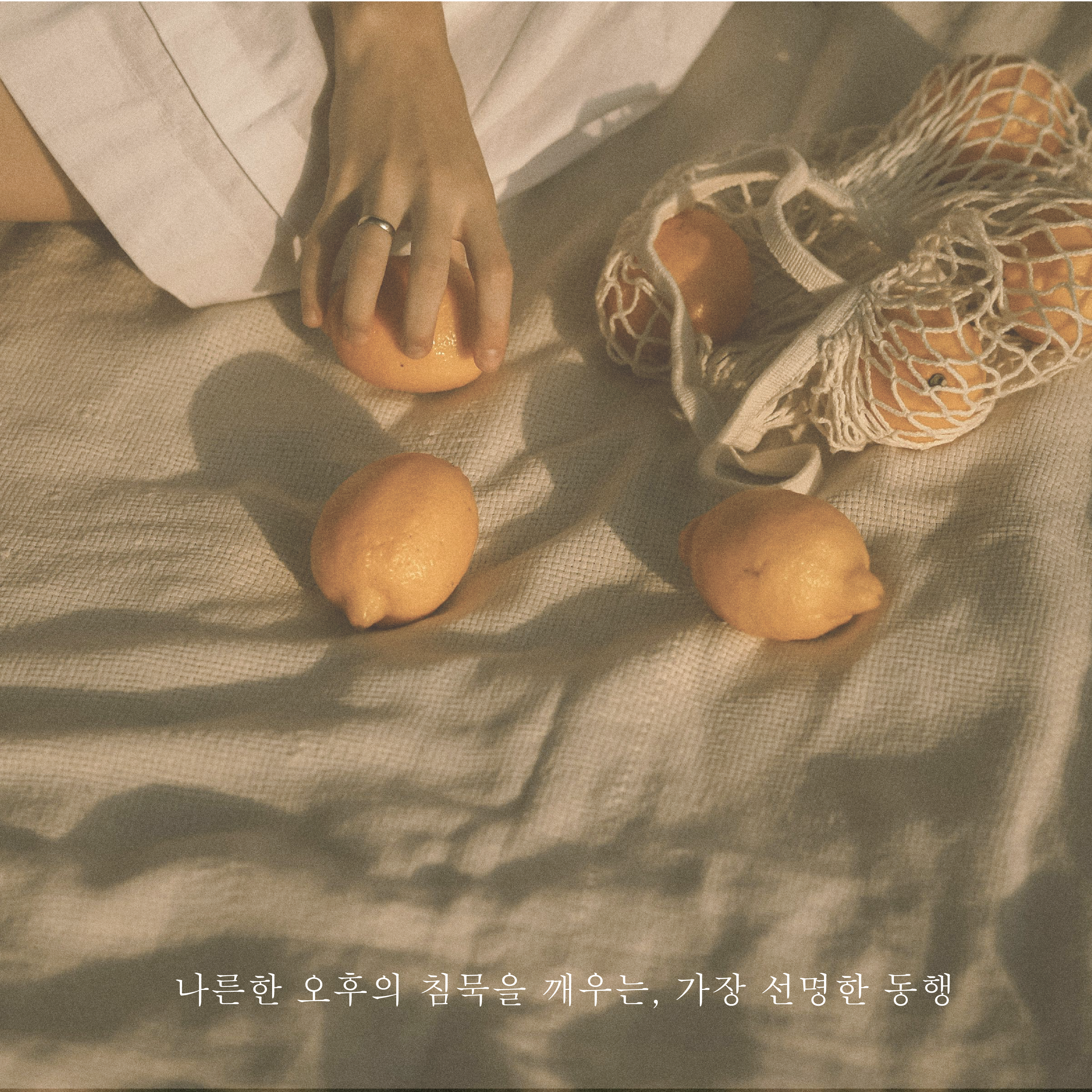 휘이잇 Re-Act향, 오후향수 - 중성적인 오렌지 블라썸, 시트러스 휴대용 선물 고체향수 이미지 2