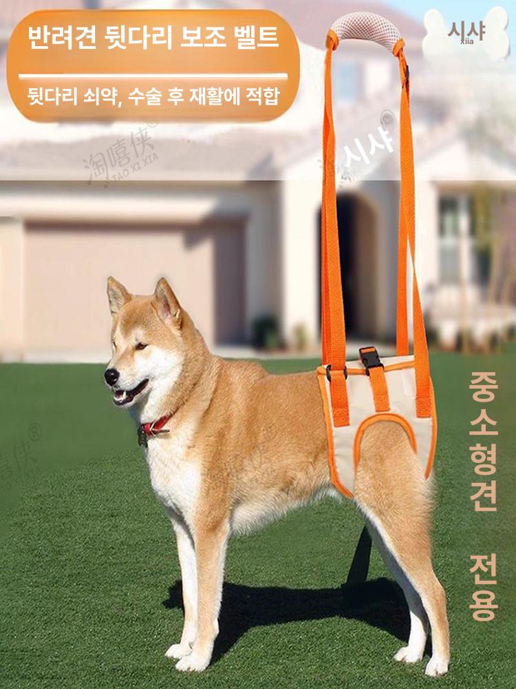 후지마비 강아지슬개골보호대 고양이 뒷다리 수술 보조 오렌지-1세대 리어다리 S 3.5kg 이하 - 상세 이미지 2