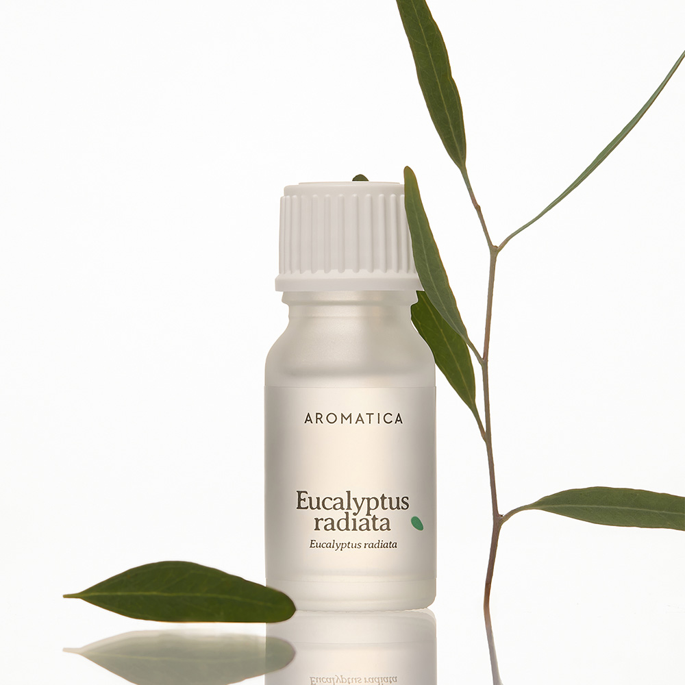 아로마티카 에센셜오일 10ML 아로마 원액 버가못 오일 아로마테라피 이미지 8