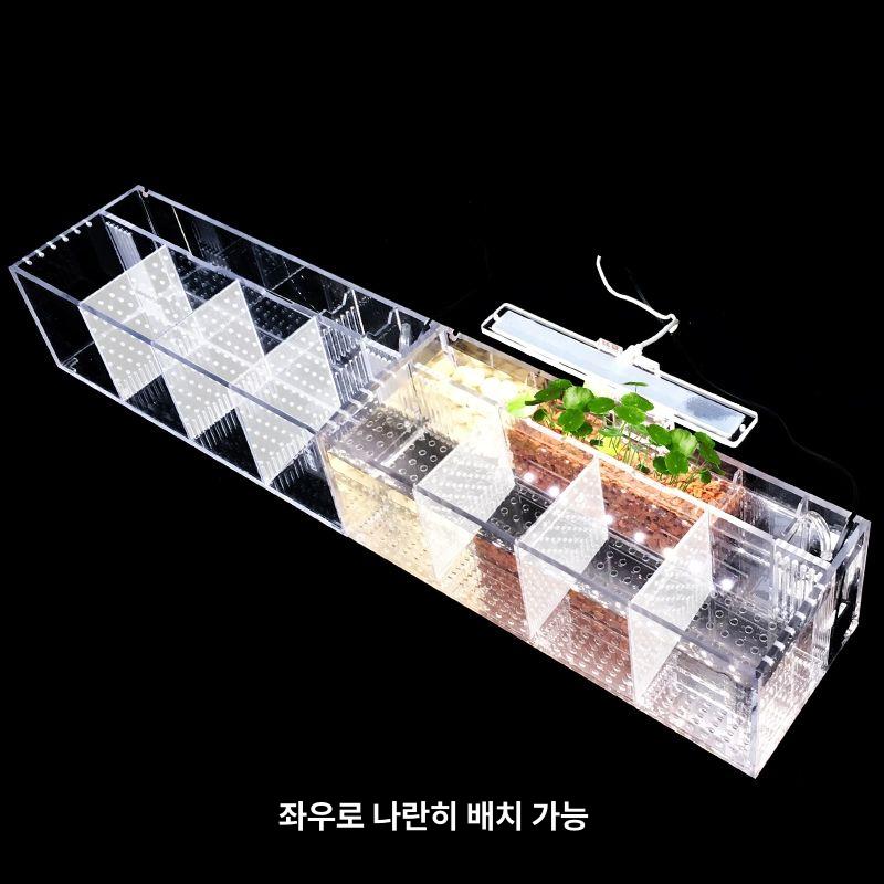 다층어항 분리수족관 아크릴 열대어키우기 배면수조 부화 디럭스형 수조분리판 베타어항 - 상세 이미지 5