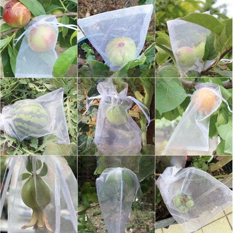 사과 보호망 과수원 방조 과일 싸개 네트 재배용 포도 방충망 농업 - 상품 이미지