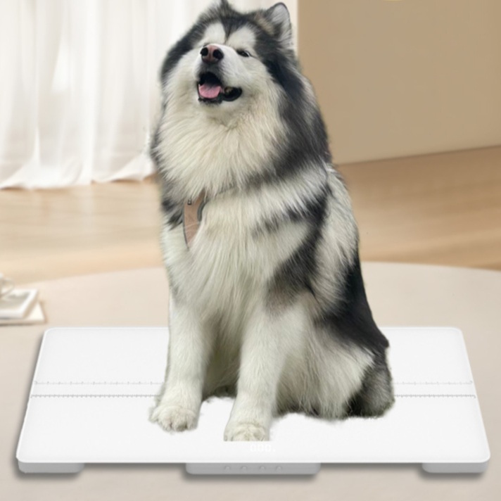 대형견 체중계 강아지 반려동물 대형 전자저울 화이트 300kg측정 980x500x70mm - 상품 이미지