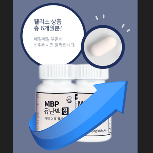 웰러스 엠비피 MBP 유단백추출물 정 90정 2병 6개월 뼈 건강 단백질 섭취 보충 효능 - 상세 이미지 4