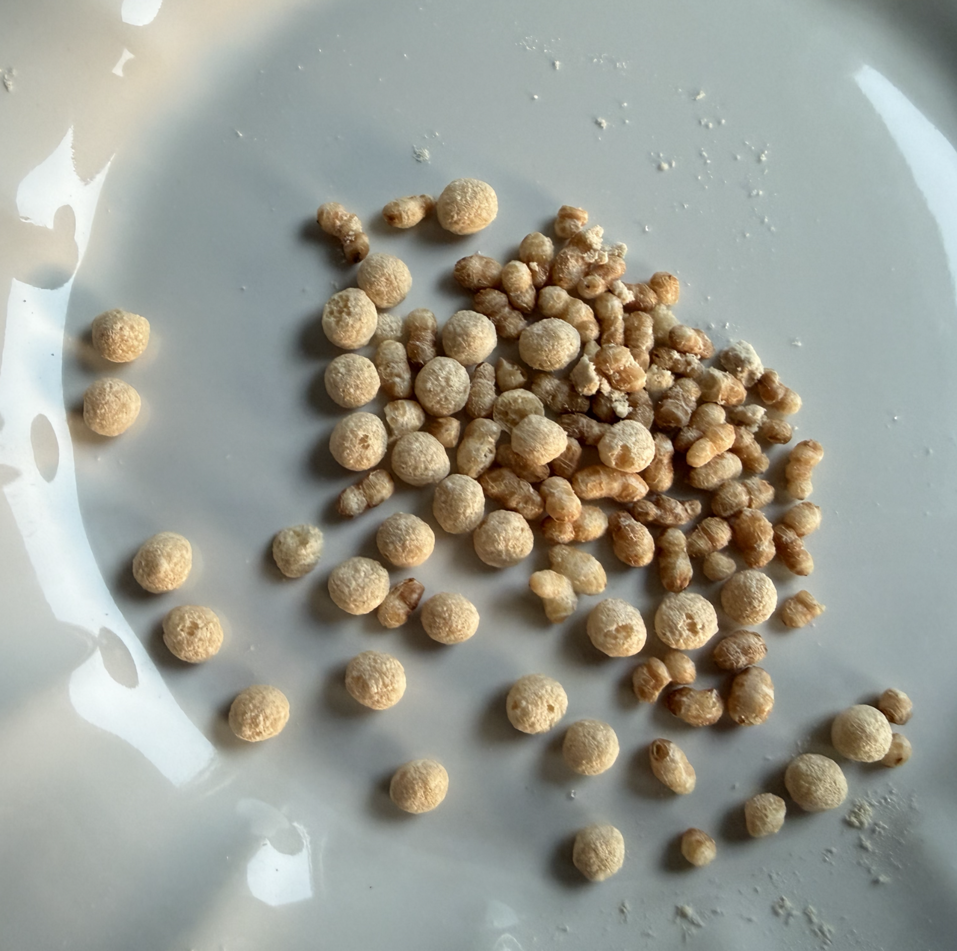 탄단한끼 단백질 쉐이크 미숫가루맛 40g, 1개 이미지 4