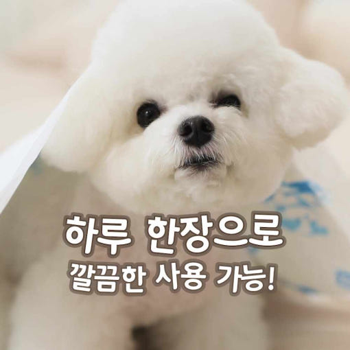포우리 강아지 배변패드 : 한고연몰