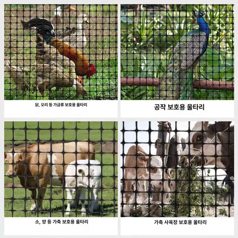 보강토 그리드 망 플라스틱 메쉬 휀스 노반 그물 공사 2.0 1.0m 3cm 구멍 35m - 상세 이미지 4