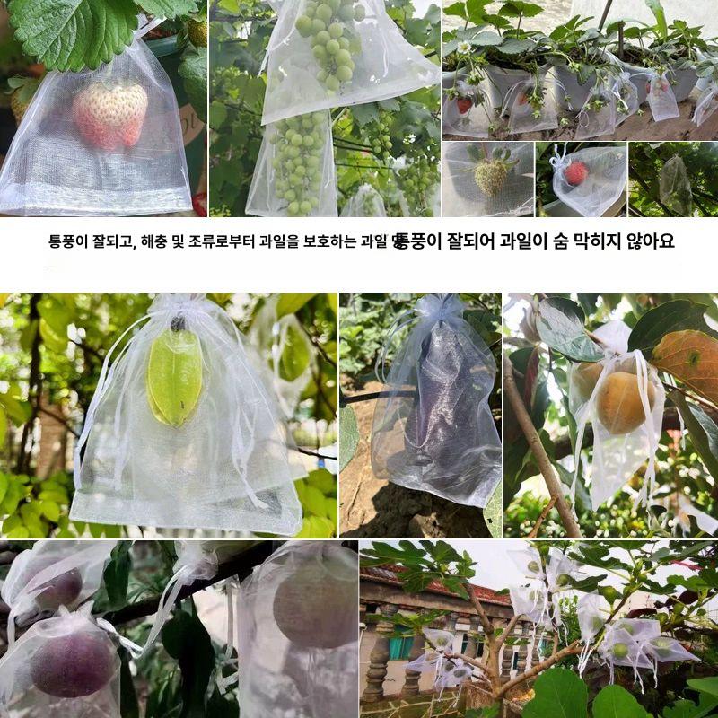 사과 보호망 과수원 방조 과일 싸개 네트 재배용 포도 방충망 농업 - 상세 이미지 2