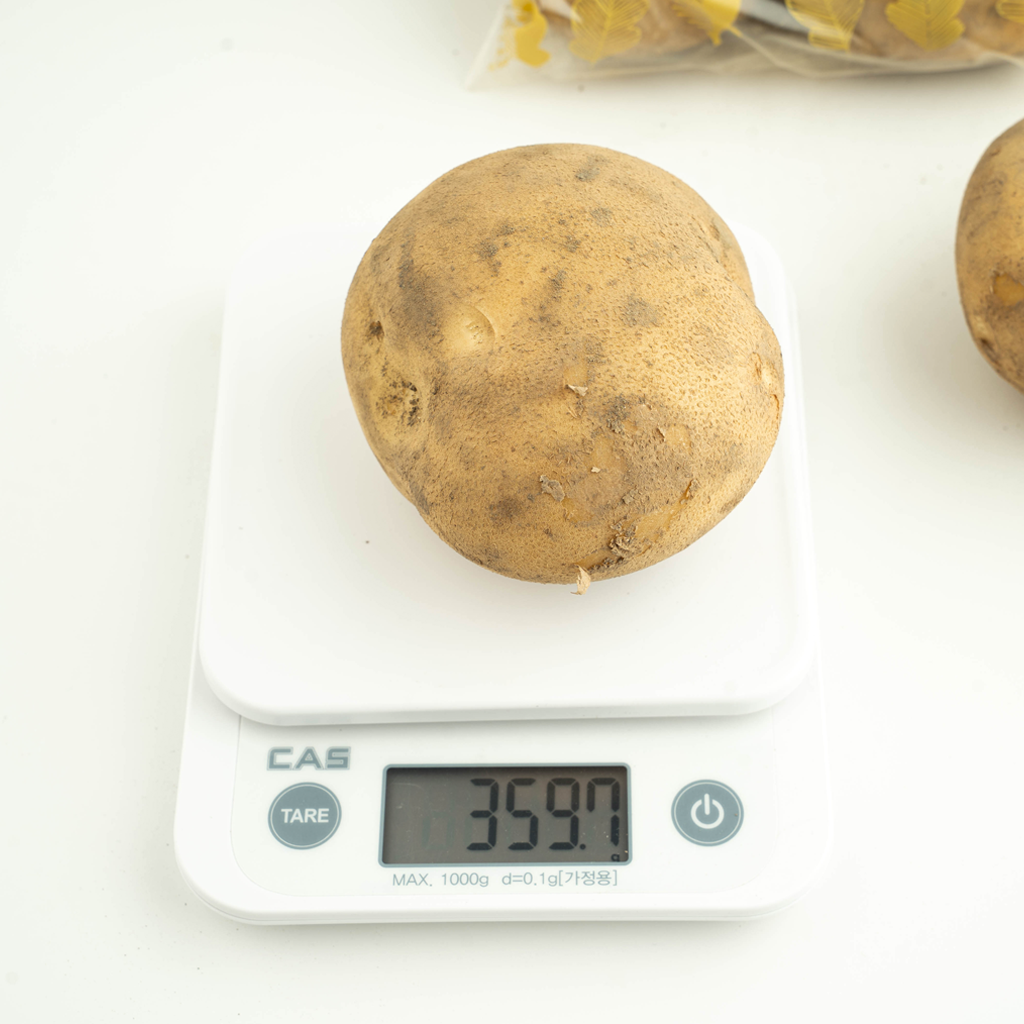 김채소 산지직송 국내산 포슬포슬 부드러운 감자 왕, 2kg, 1개 - 상세 이미지 5