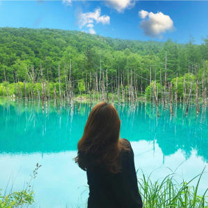 [유투어버스] 삿포로역 출발 비에이 후라노 1일 버스 투어 북해도 홋카이... 솔직 후기 | 실사용자 리뷰 분석 - 상품 이미지 2