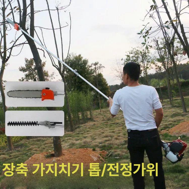 엔진 지치기 장대톱 고지 가솔린 나무 과수원 조경 절단 체인톱 - 상세 이미지 4