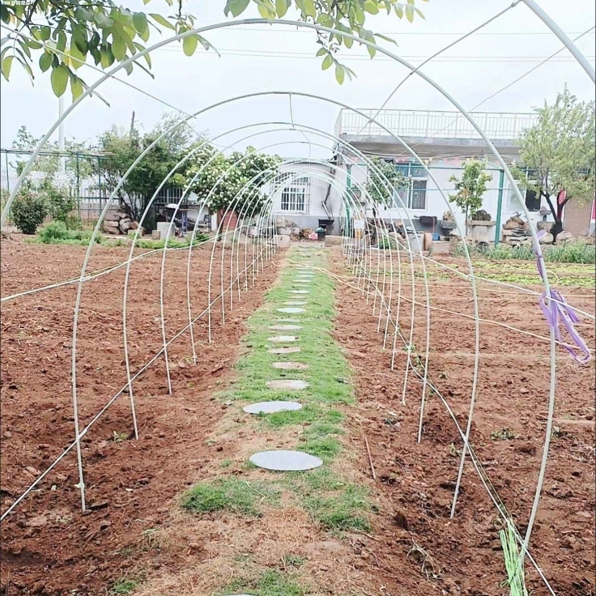 온실 자재 식물 지주대 터널 활대 강선 비닐하우스 골조 10개 4mm 1m - 상세 이미지 3