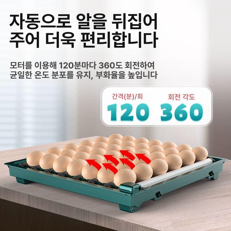 메추리 부화기 병아리 오리 인큐베이터 육추기 계란 거위알 자동온도조절 알까기 - 상세 이미지 5