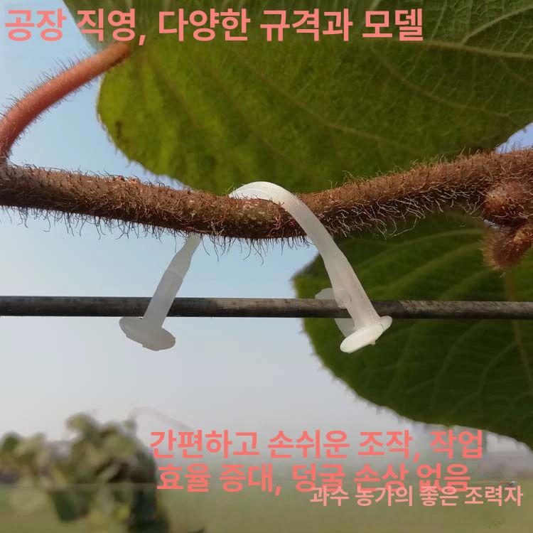 작물 클립 고추 포도 원예용 지주 지지대 오이 호박 식물 고정 끈 집게 - 상세 이미지 3