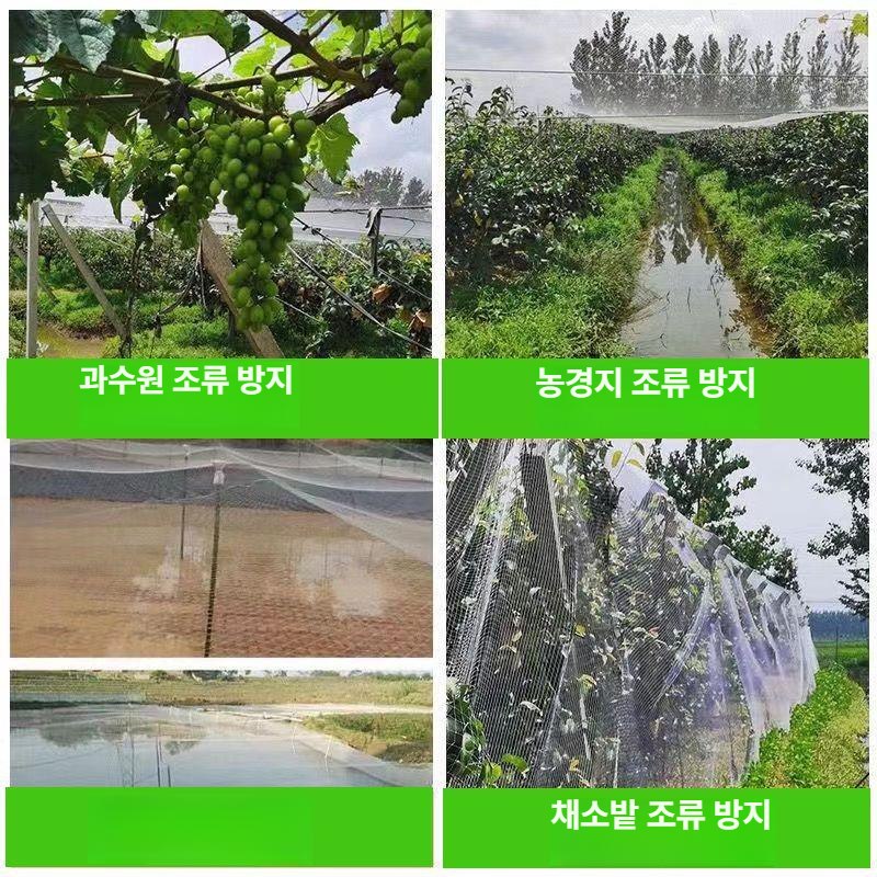 블루베리 방조망 조류 그물망 식물 텃밭 과수원 새그물 농사 10m 50m - 상세 이미지 4