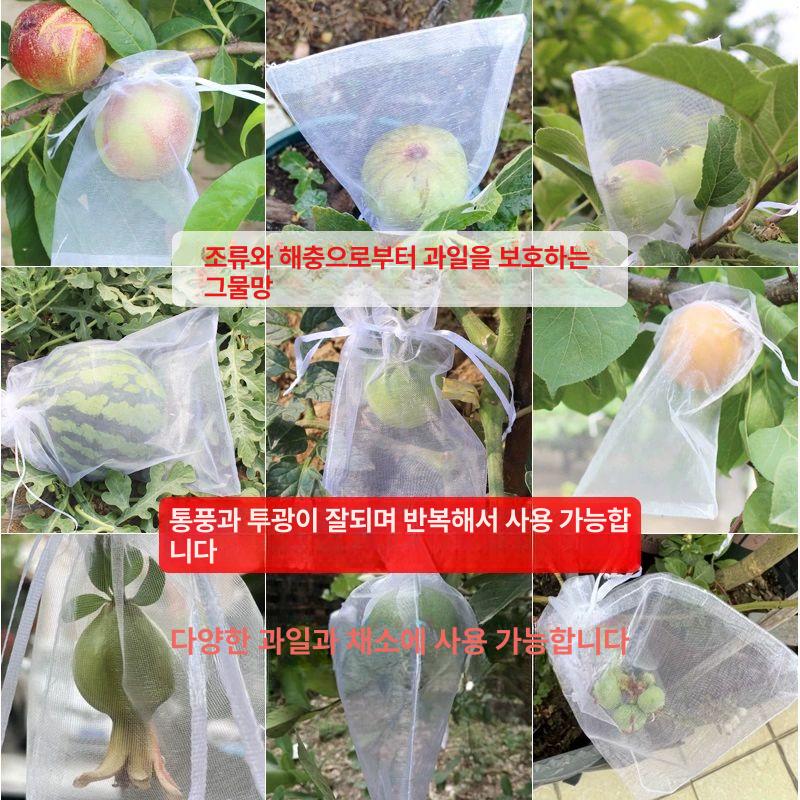 방조 보호망 과일 과수원 사과 싸개 그물 재배용 네트 포도 방충망 과실 - 상세 이미지 2