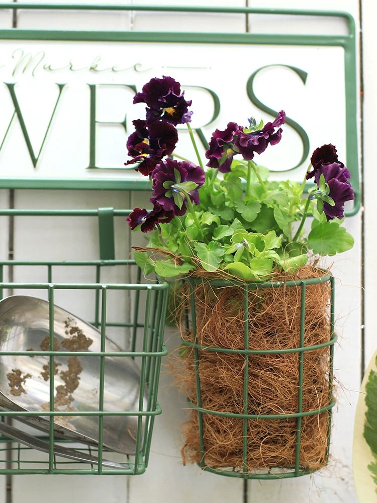 철제 화분거치대 벽걸이 빈티지 엔틱 장식 바구니 화분걸이 선반 - 상세 이미지 3