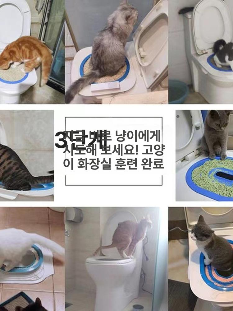 변기유도 배변커버 고양이 반려동물 화장실 훈련키트 연습 블루 스트랩 2개 - 상세 이미지 3