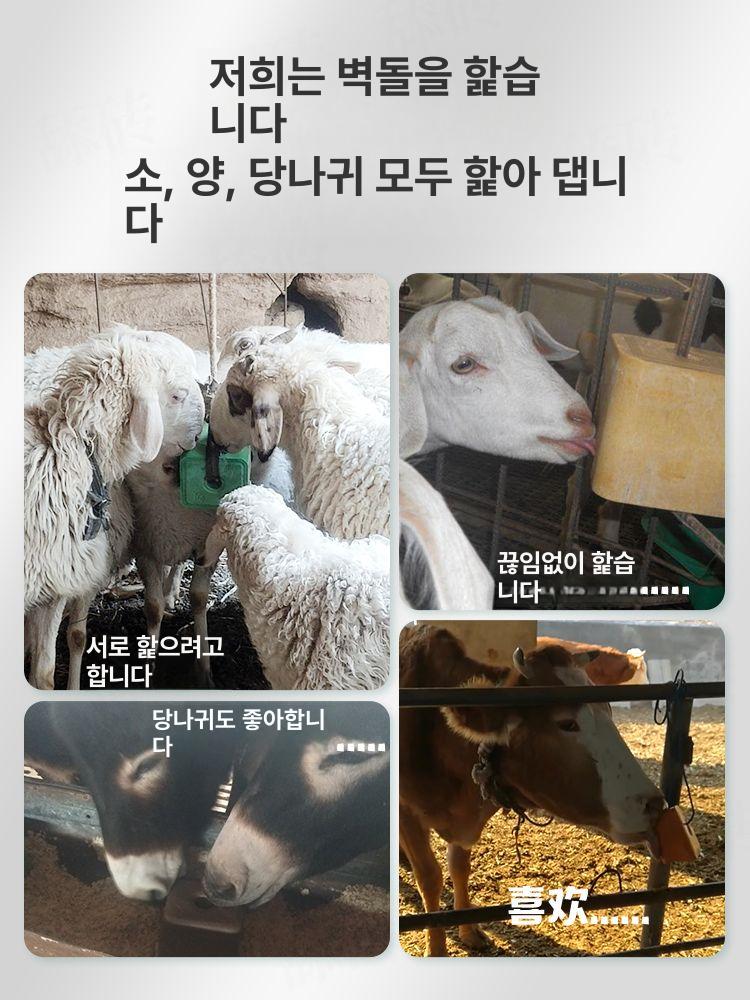 미네랄블록 염분 소금벽돌 영양제 큐브 보충 가축 양 염소 가축용 소금 상세 보충제 송아지 - 상세 이미지 2