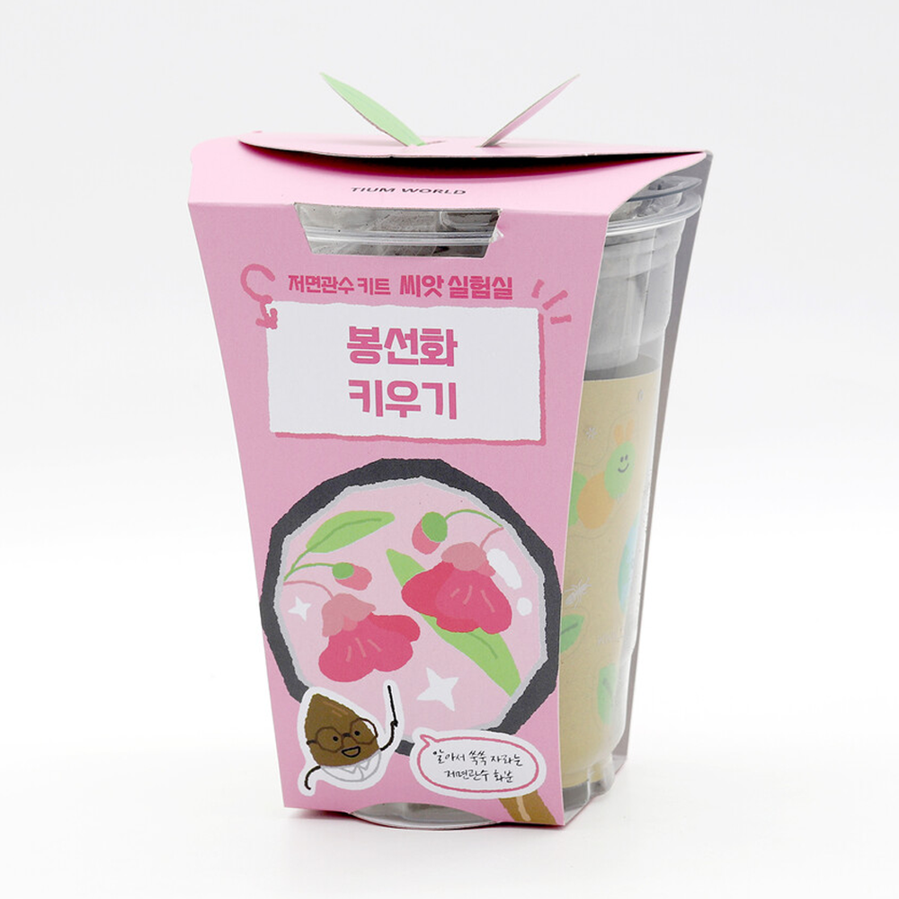 봉선화 꽃 씨앗 키우기 식물키트 저면관수 - 상세 이미지 4