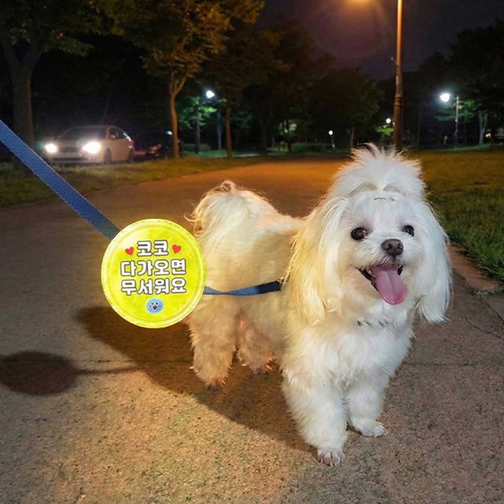 반사 펫티켓 강아지 목걸이 이름표 밤산책 안전 빛반사 - 상품 이미지