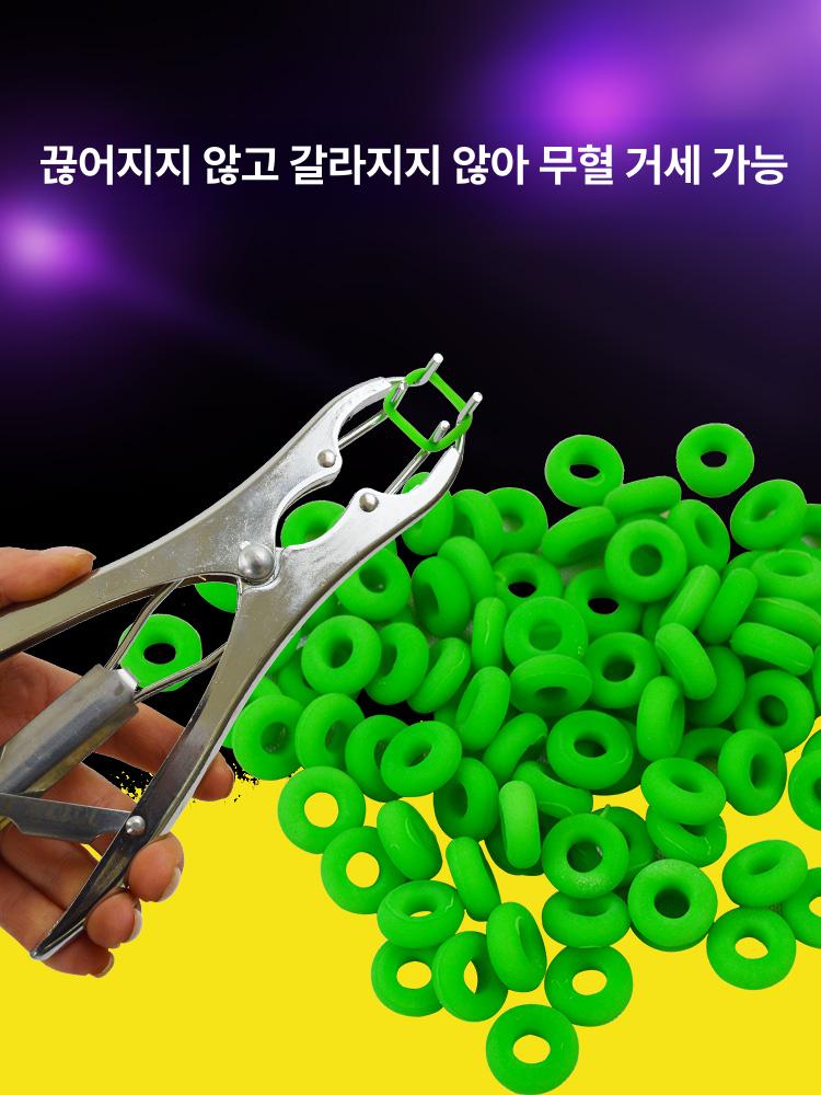 염소 거세링 기계 가위 거세 꼬리 스텐 펜치 돼지 플라이어 고무링 축산 장착기 집게 - 상세 이미지 4