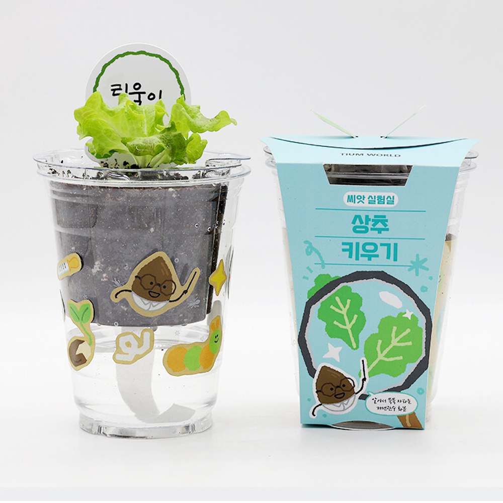 상추 씨앗 상추씨 키우기 식물키트 저면관수 - 상품 이미지