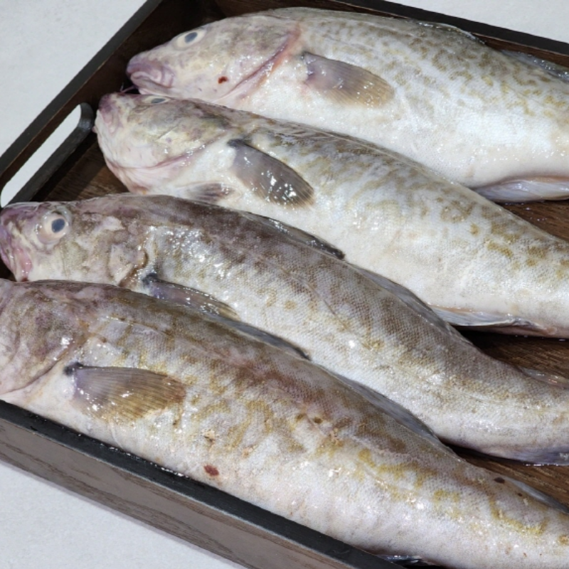 자연가득 급냉 국내산 대구 1.5kg 1~3미 내외 - 상품 이미지