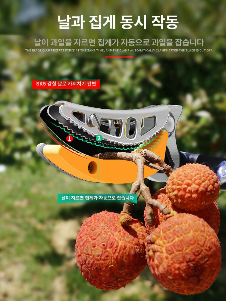 고지가위 장대 가위 원예용 커터기 감따는기계 수확 가지치기 충전 과일 전동 - 상세 이미지 4