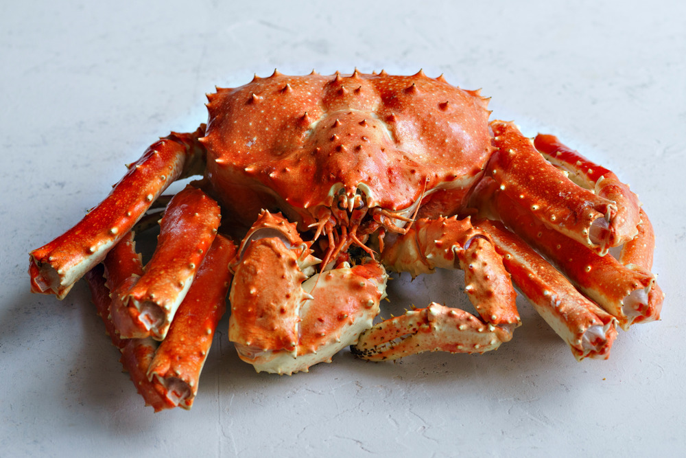 러시아 킹크랩 자숙 레드 블루 시세 싯가 4.5kg, 1개 - 상세 이미지 5